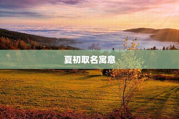 夏初取名寓意