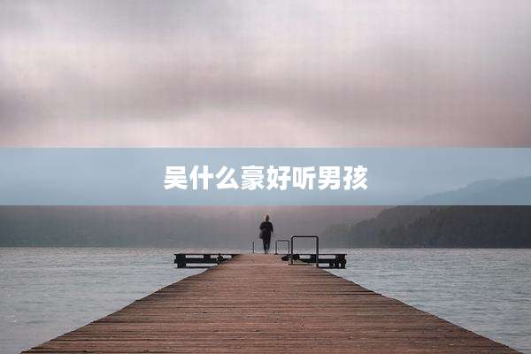 吴什么豪好听男孩
