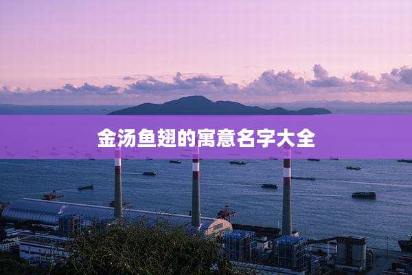 金汤鱼翅的寓意名字大全