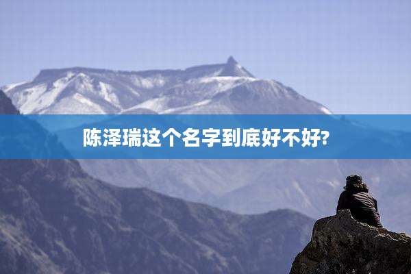 陈泽瑞这个名字到底好不好?