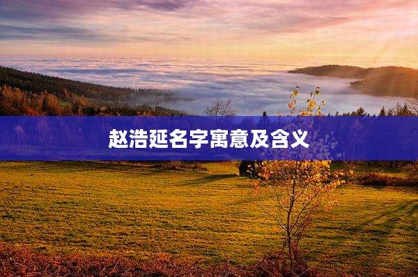 赵浩延名字寓意及含义