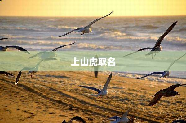 上山虎取名
