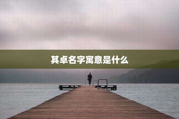其卓名字寓意是什么