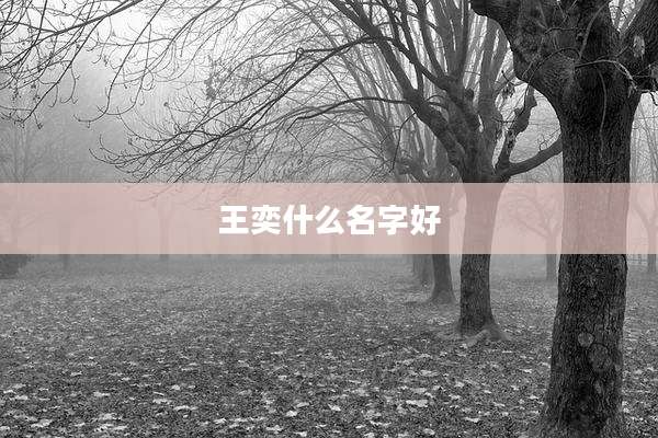 王奕什么名字好