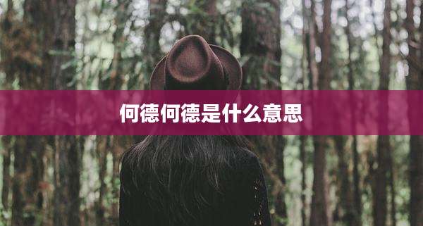 何德何德是什么意思