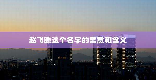 赵飞滕这个名字的寓意和含义
