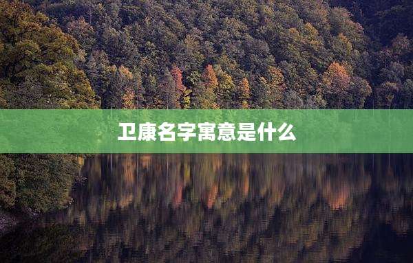 卫康名字寓意是什么