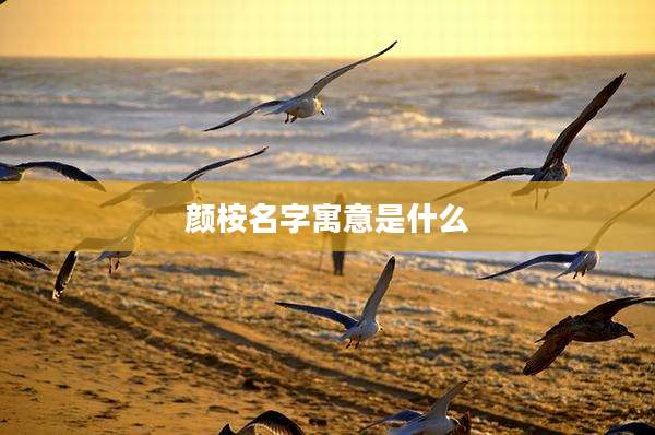 颜桉名字寓意是什么