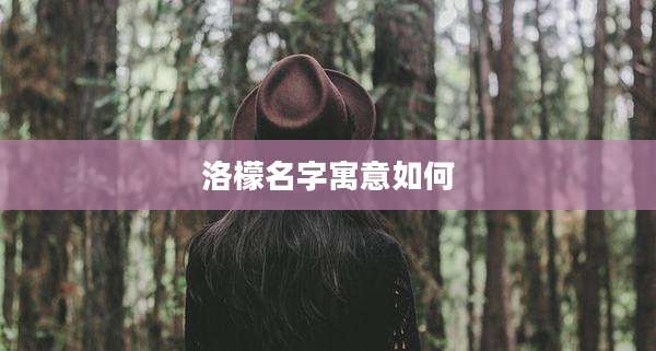洛檬名字寓意如何