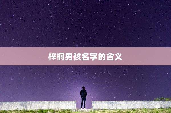 梓桐男孩名字的含义
