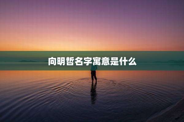 向明哲名字寓意是什么