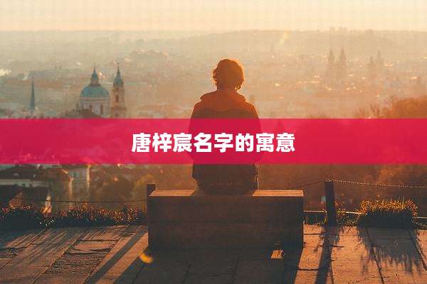 唐梓宸名字的寓意