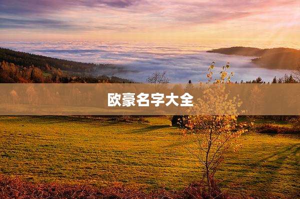 欧豪名字大全