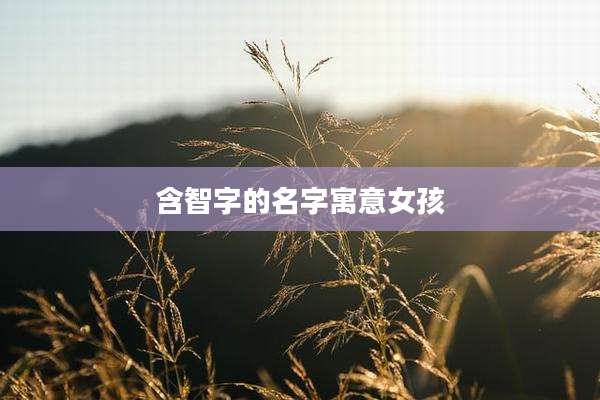 含智字的名字寓意女孩
