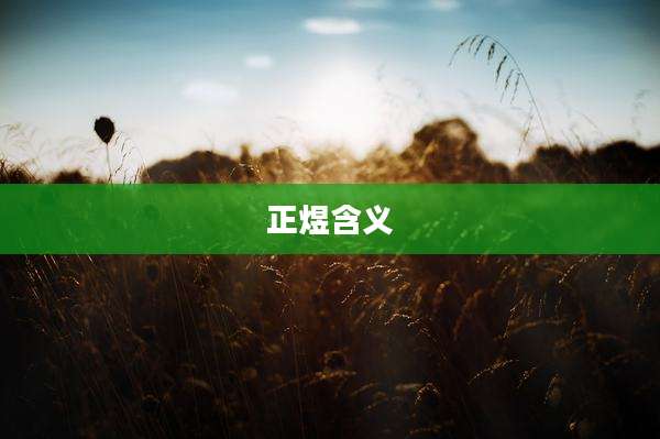 正煜含义