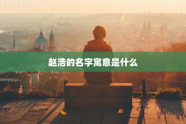 赵浩的名字寓意是什么