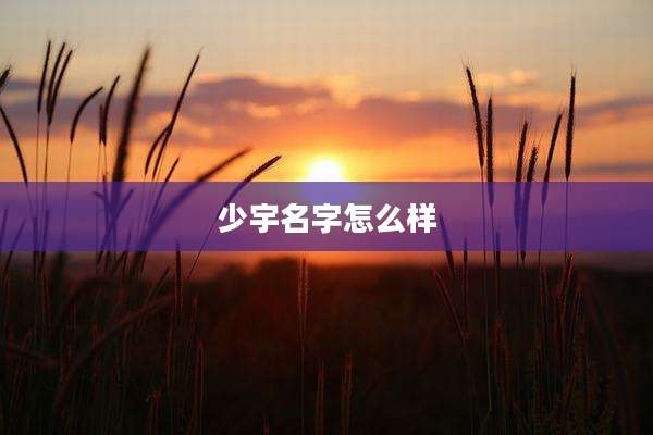 少宇名字怎么样