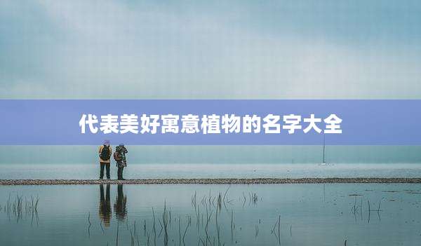 代表美好寓意植物的名字大全