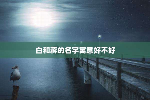 白和蒋的名字寓意好不好