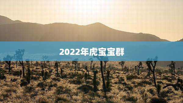 2022年虎宝宝群