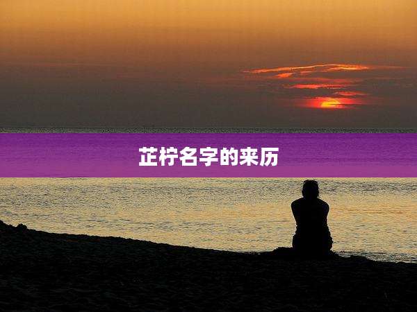 芷柠名字的来历