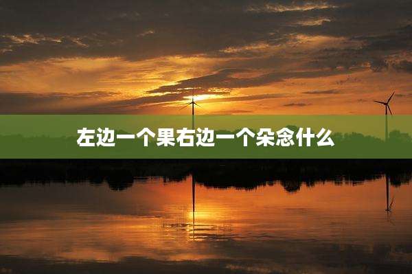 左边一个果右边一个朵念什么