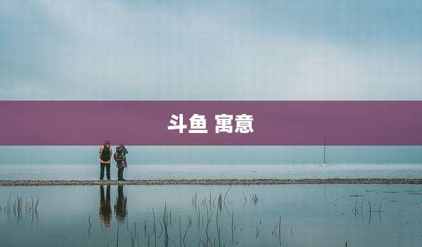 斗鱼 寓意