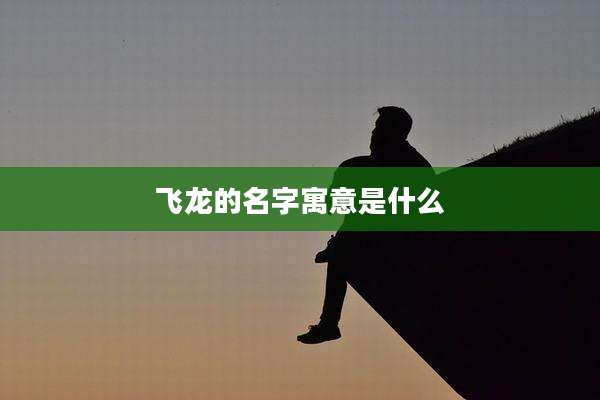 飞龙的名字寓意是什么