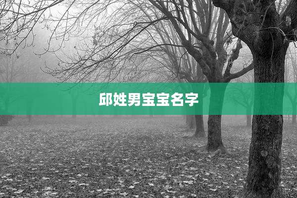 邱姓男宝宝名字