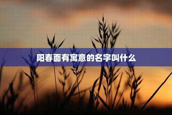 阳春面有寓意的名字叫什么