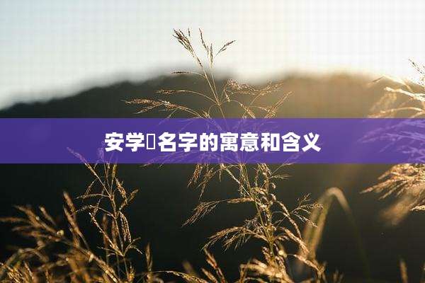 安学燊名字的寓意和含义