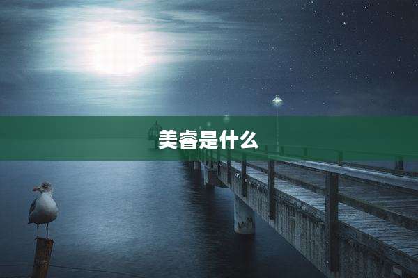 美睿是什么