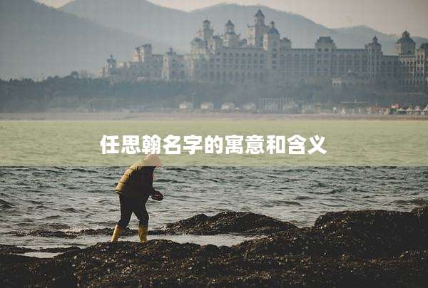 任思翰名字的寓意和含义