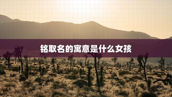 铭取名的寓意是什么女孩
