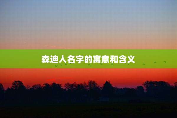 森迪人名字的寓意和含义