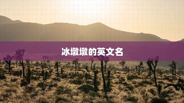 冰墩墩的英文名