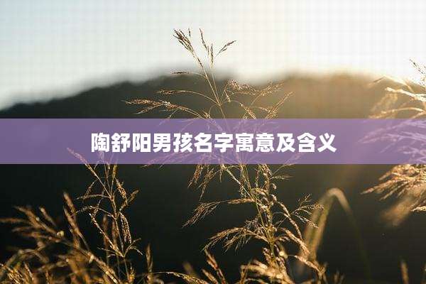 陶舒阳男孩名字寓意及含义