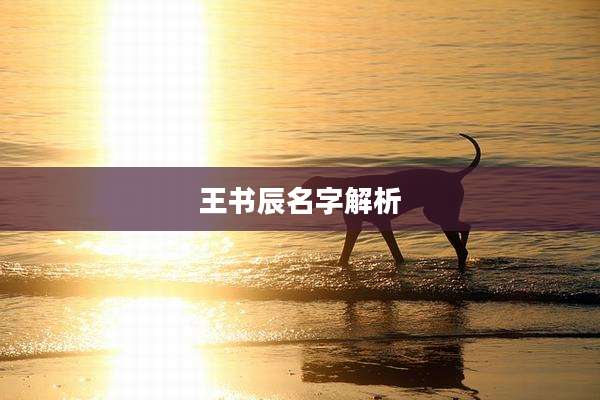 王书辰名字解析