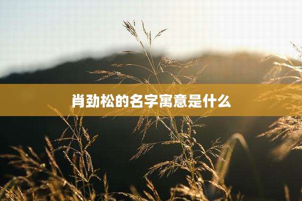 肖劲松的名字寓意是什么