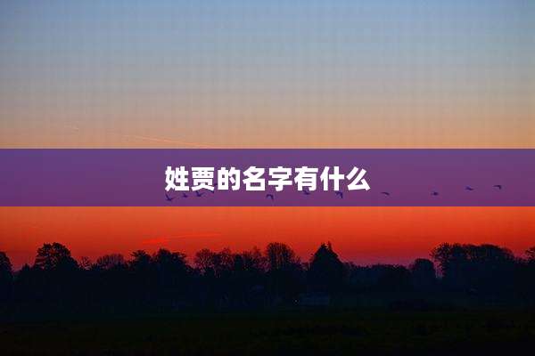 姓贾的名字有什么