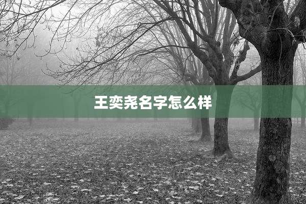 王奕尧名字怎么样