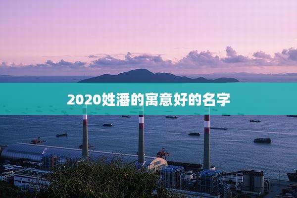 2020姓潘的寓意好的名字