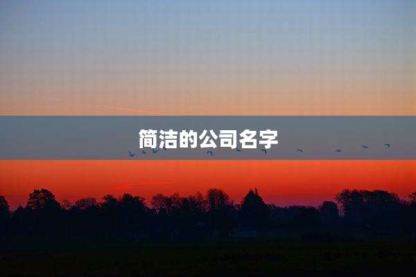 简洁的公司名字