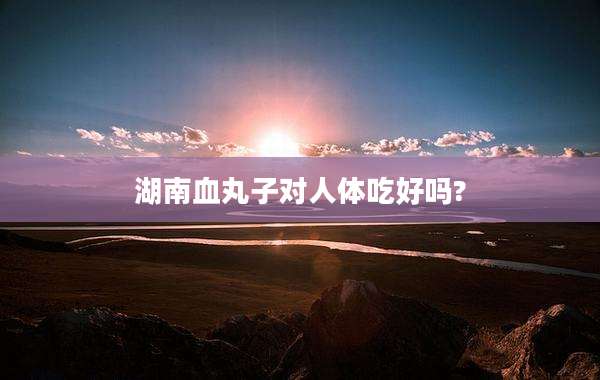 湖南血丸子对人体吃好吗?