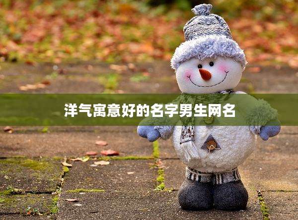 洋气寓意好的名字男生网名