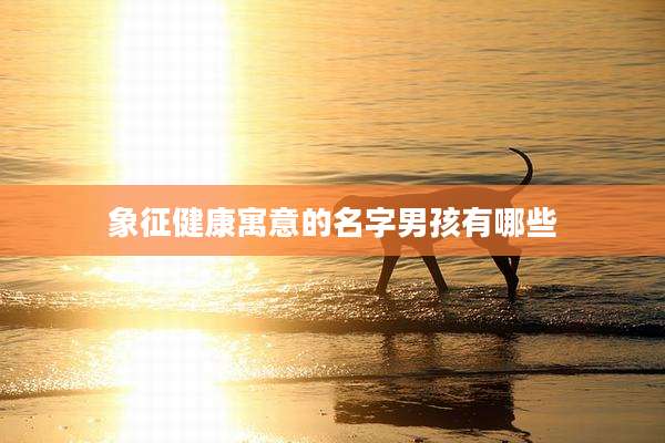 象征健康寓意的名字男孩有哪些