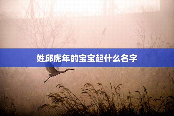 姓邱虎年的宝宝起什么名字
