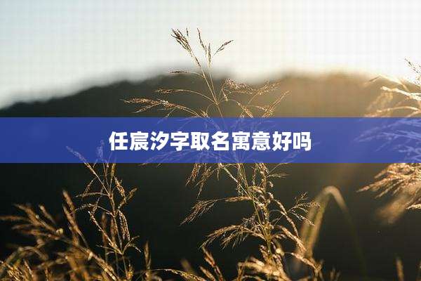 任宸汐字取名寓意好吗