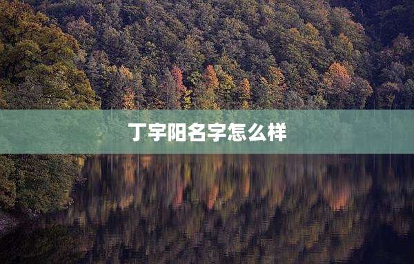 丁宇阳名字怎么样