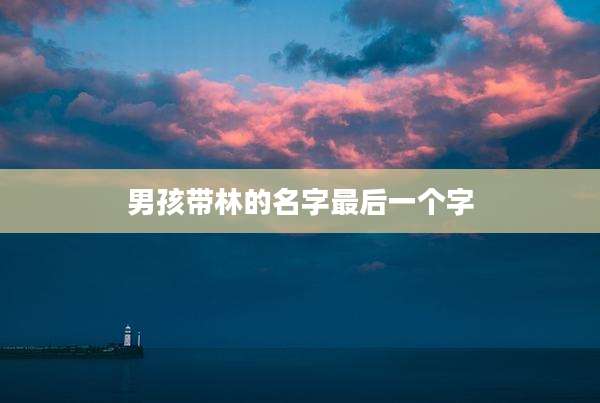 男孩带林的名字最后一个字